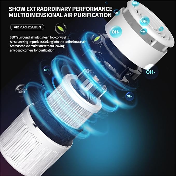Dewlora Air Purifier For Safety