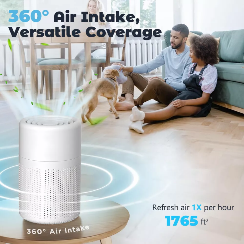 Dewlora Air Purifier For Safety